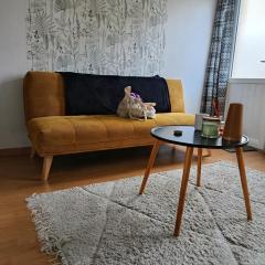 Studio Cosy