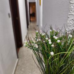 Alojamiento Comercio.