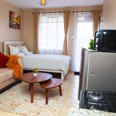 Comfy modern studio in Kitisuru