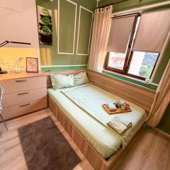 Retreat în Inima Iasului Langa Palas&Palatul Culturii