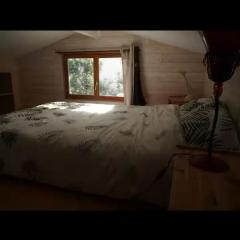 Cabane en bois