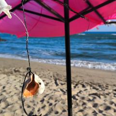 William's apartments - third special studio