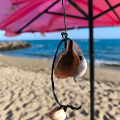 William's apartments - sixth large apartment