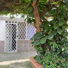 Apartamento Moderno y central