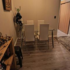 Arriendo departamento amoblado por día