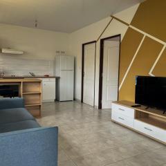 Kaz'horizon climatisé Montabo plages resto et wifi