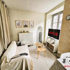 Luxury apartment city center Montbeliard