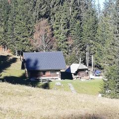 Brunarica na Goreljeku, Pokljuka