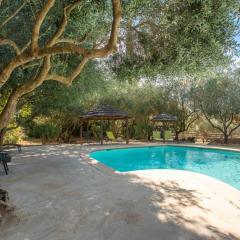 Kenya - Écuries du Mas di Gau