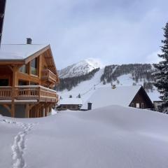 Chalet les 3 Montagnards - 200m des pistes