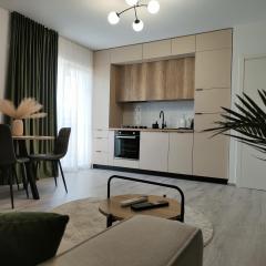 Irina's Apartment