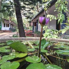 Eco Nature Lodge - Habarana
