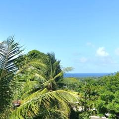 Les Alizées - Pleasant & Sea View