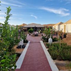 marvelous luxury desert stars