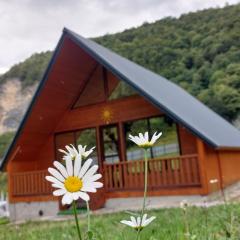 Kinchkha cottage Fshuqebi - კინჩხის კოტეჯი ფშუქები