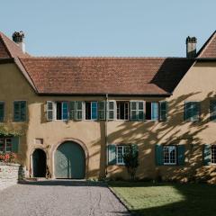 Domaine La Commanderie - Gîtes de charme modulables avec jardin Obernai - max 10 pers