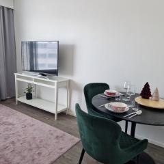 Top floor studio, City center & Riverside