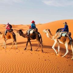 ibis merzouga camp