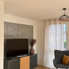 AMAO Grey - 86 m2 Apartment - Balcony - King-Size Beds - Free Parking - Near Europa-Park - Up to 12 Guests with 2 Units