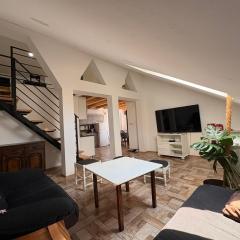 Duplex stan u Beogradu