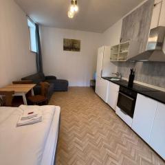 Gasthof zum goldenen Schiff - Budgetwohnung im Hotel