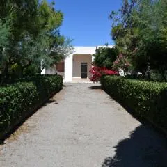 Villa Cino