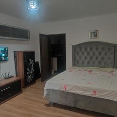 Garsoniera țiglina 1