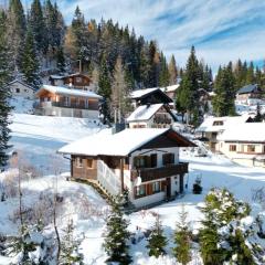 Chalet Heinrich Ski in & Ski out - Apartment Bergblick