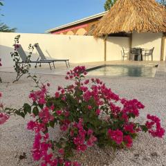 Luxe Huis Met Privzwembad Villapark Fontein