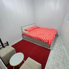 New Hostel in Tashkent