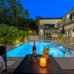 Villa Ollea by Interhome