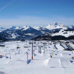 Résidence a Avoriaz Anta
