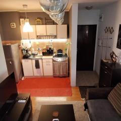 Cityline home Coka