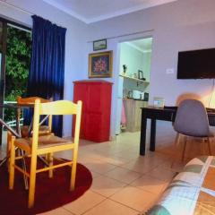 The Cozy 1 bedroom apartment