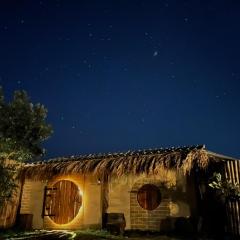 Hobbit noi