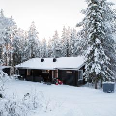 Levikoto 3 B Visit Levi