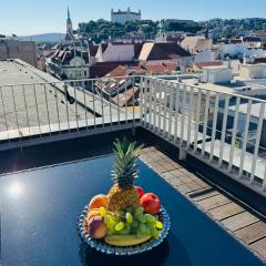 Luxury PENTHOUSE at the Historical Centre Parking
