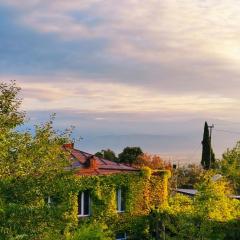 Guest House -Lorenzo-