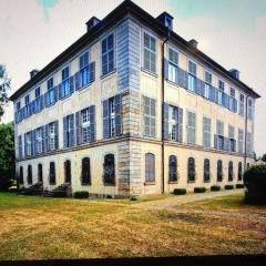 Castle Apartment "Cook"