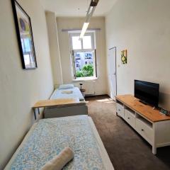 Cozy Flat at Žižkov & Free Parking