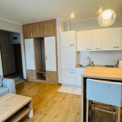 Apartamenty Bistro12