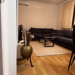 Prishtina City Center Apartment