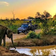 Gajaa Corido Safari Homestay