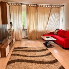 1 Zimmer Wohnung mit Küche und Bad in Dortmund Brackel