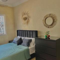 magnifique appartement spacieux