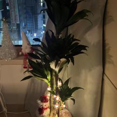 Gangnam Central View with high-speed Wi-Fi & smart TV - monthly 40 percent off!