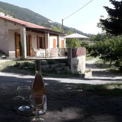 Gîte La Motette Drôme Provençale