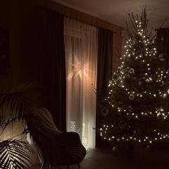 Brīvdienu māja & pirts meža vidū - Saraiķu Sanderi