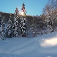 Mira Moleta bienvenidos a Canfranc