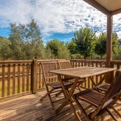 L’oliveraie Écuries Mas di Gau